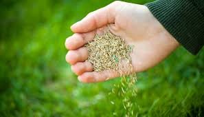 lawn fertilization companies